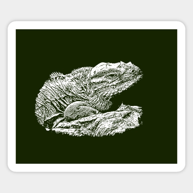 Iguana Sticker by Guardi